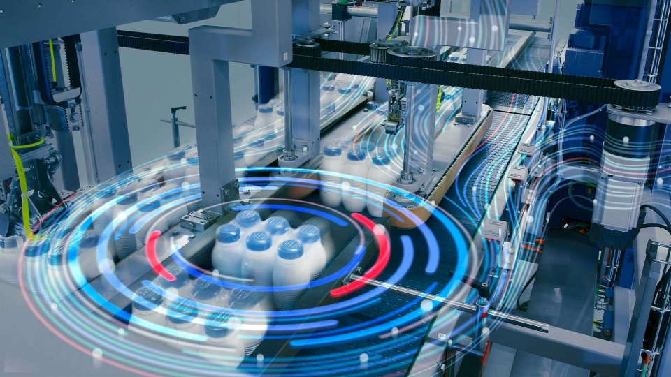 Taşıma & Paketleme Çözümleri